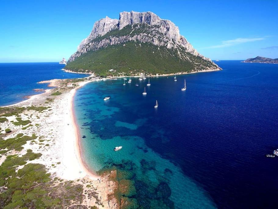 Ocean Flat Daire Cagliari Dış mekan fotoğraf