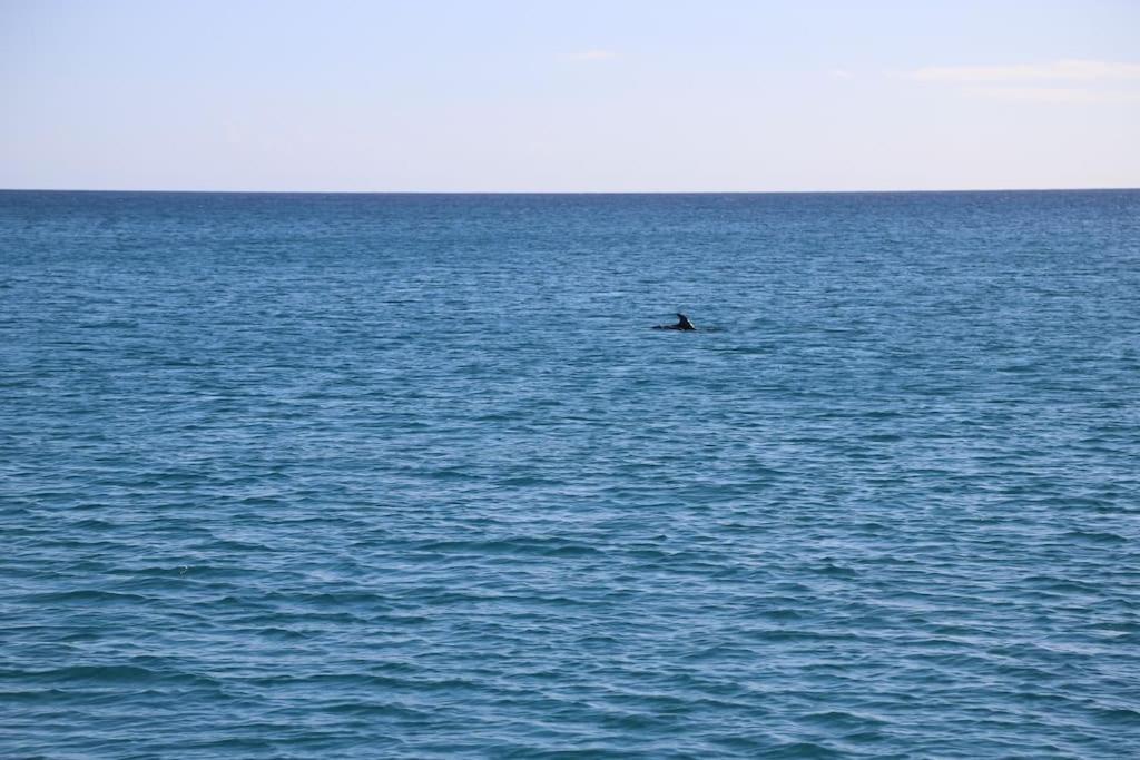 Ocean Flat Daire Cagliari Dış mekan fotoğraf